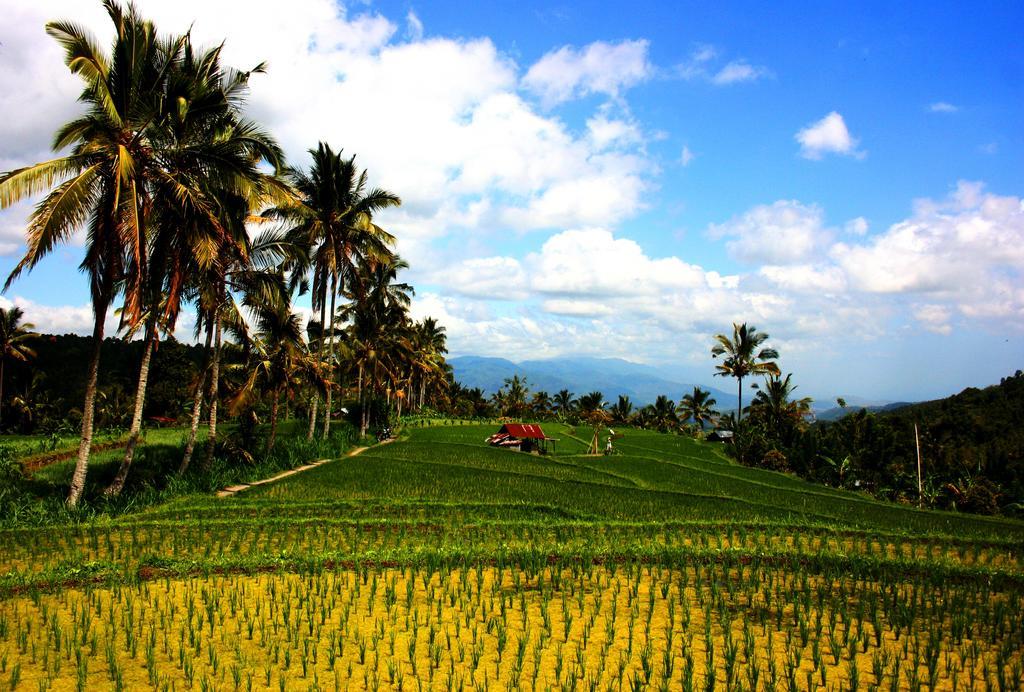 Puri Alam Bali Hotel มุนดุก ภายนอก รูปภาพ